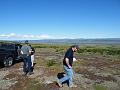 Wales-Nome 219
